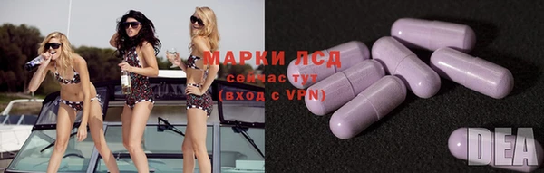 спайс Алзамай