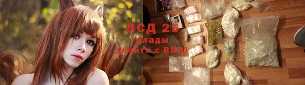 дурь Алексин