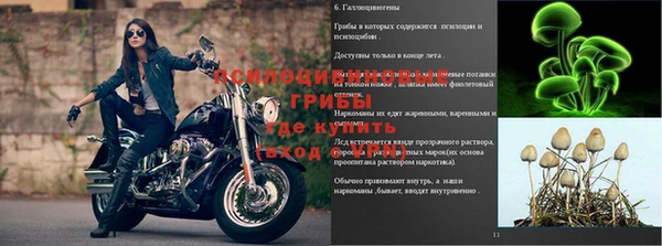 спайс Алзамай