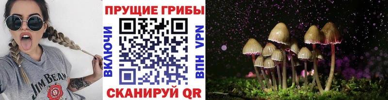 Псилоцибиновые грибы Psilocybine cubensis продажа наркотиков Биробиджан